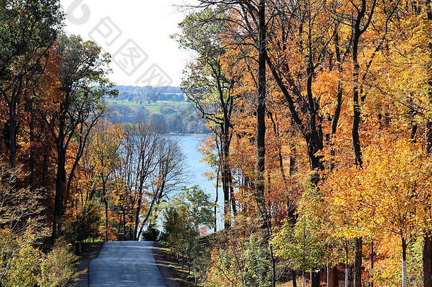 威斯康星州乡村<strong>道路</strong>上五颜六色的落叶。树叶变红、变黄、变橙，<strong>道路</strong>通向宁静的日内瓦湖。