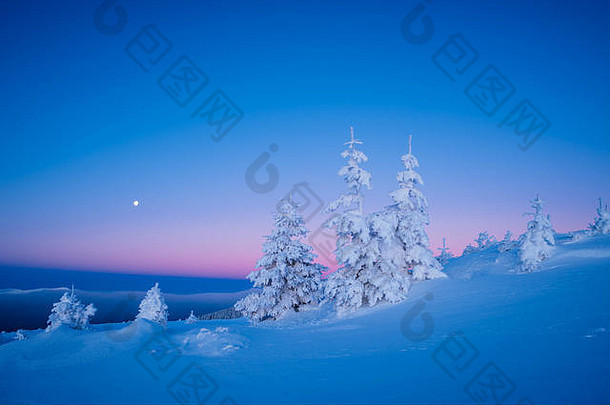 多姿多彩的冬季景观。晨曦。自然之美。圣诞景观
