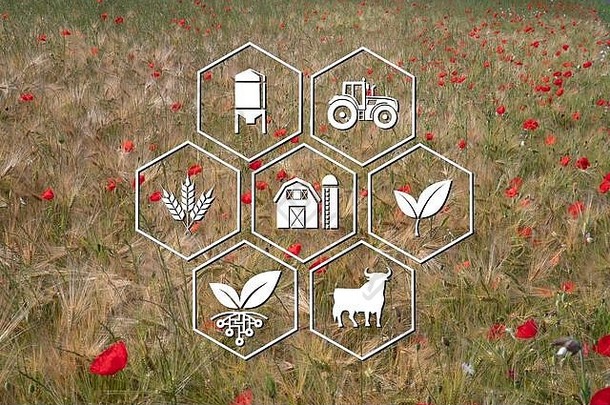 各种农业符号的图标