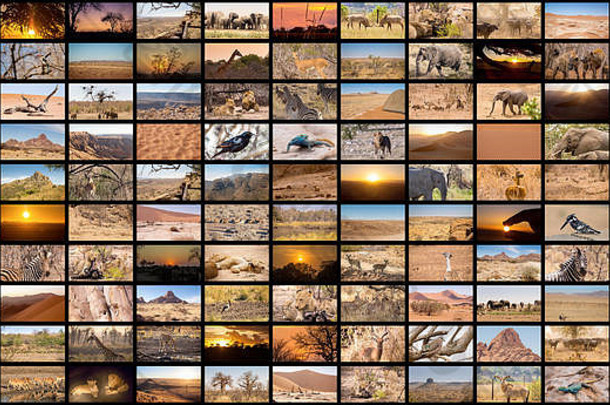 纳米比亚的各种形象被视为一个巨大的形象墙、纪录片频道
