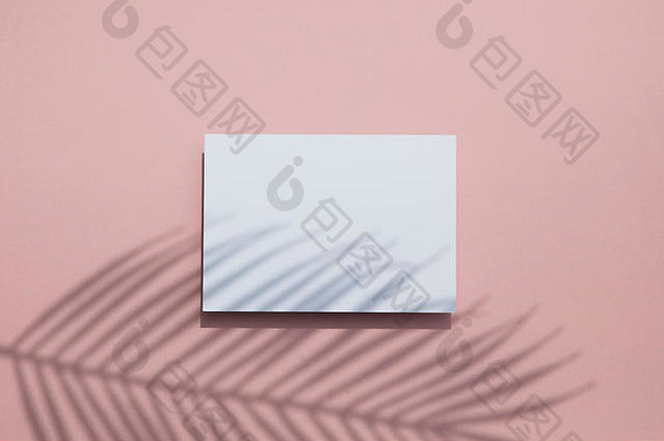 白色卡片框上的热带棕榈叶阴影。异国情调的夏季背景。