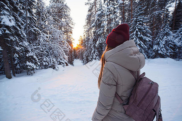 背着背包的年轻女子在白雪覆盖的冬松林中走在冬林路上。下雪的天气。大松树。寒假。