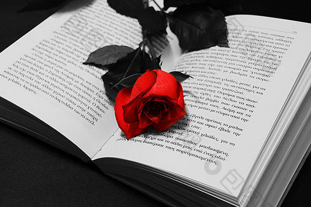 红色的玫瑰开放书孤立的白色