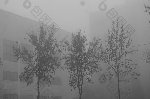 灰色的深乳白色的雾覆盖街道城市秋天冷早....