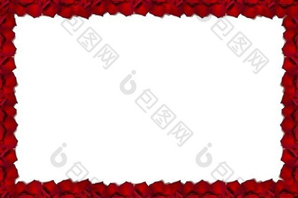 美丽的红色玫瑰花瓣背景。中间空白空白。酶