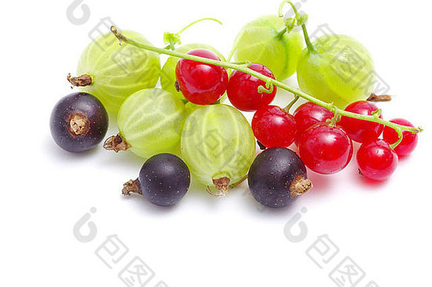 新鲜美味的夏季浆果，白色隔离