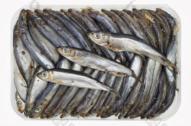 波罗的海小鱼，用香料腌制，漂亮地放在一个塑料容器里。独立工作室拍摄，俯视图