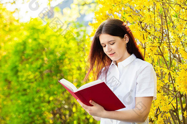 学生女孩在户外阅读书阳光明媚的背景校园学习概念大学概念爱学习概念