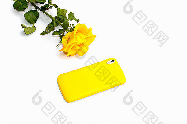 黄色的玫瑰黄色的电话主题美丽的花