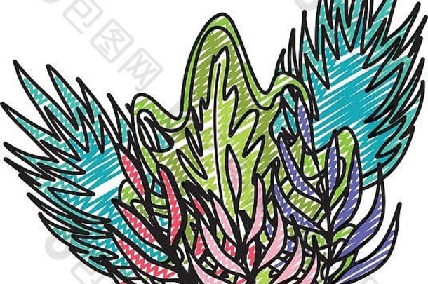 涂鸦热带植物自然叶子风格