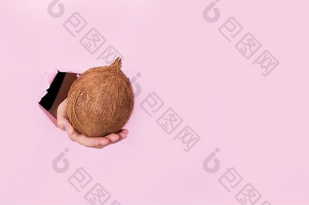 一只母手拿着一整只大椰子穿过撕破的粉红色墙壁上的一个洞。生物有机产品食品的特别优惠和优惠。零浪费