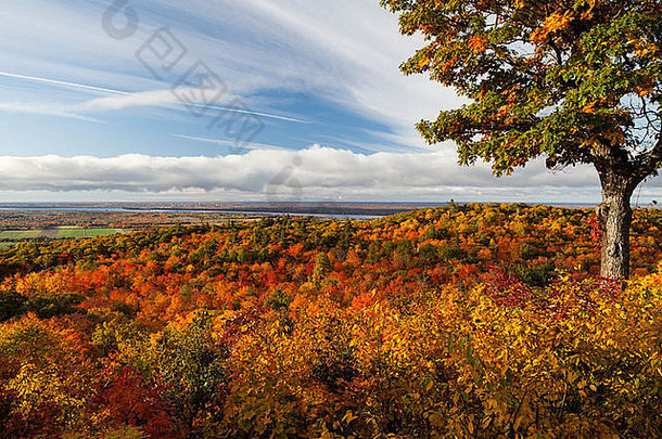 加拿大魁北克省加蒂诺的渥太华山谷秋景