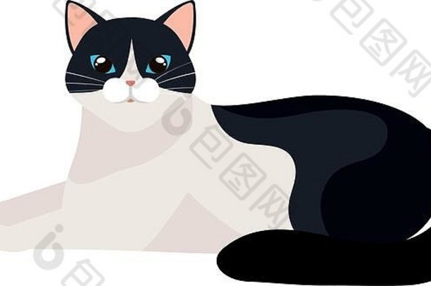 可爱的猫黑色的白色孤立的图标