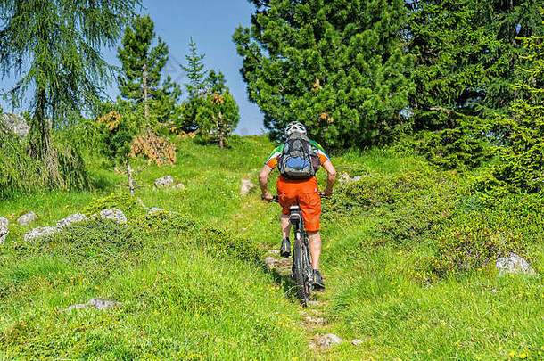 带着背包的自行车旅行者沿着绿色小道上坡