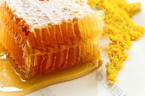 蜂蜜黄花甜蜂巢