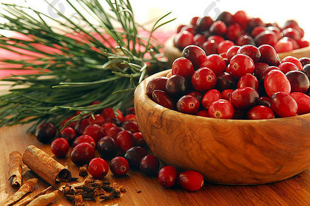 新鲜的红色的小红莓木碗香料松分支机构