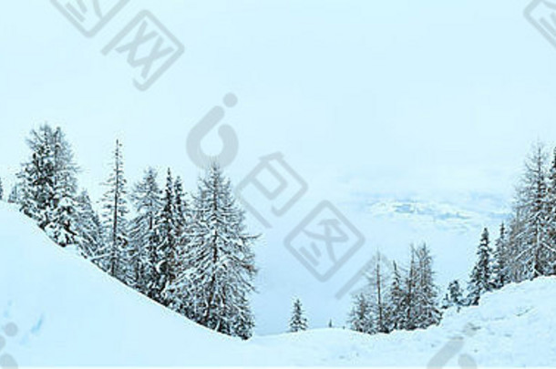 冬天山上雾蒙蒙，白天雪蒙蒙的全景。