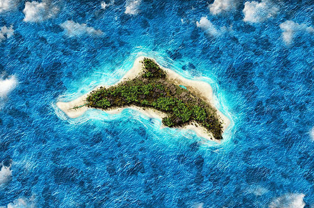 空中视图美丽的岛形状海豚