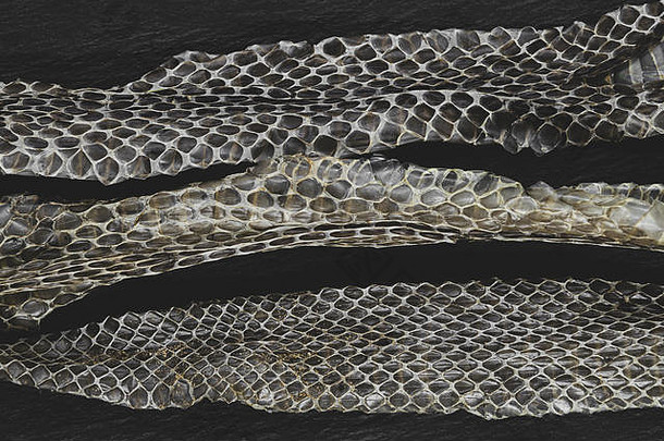 黑石背景表面上的部分老掉牙草蛇（Natrix Natrix、环蛇或水蛇）皮肤