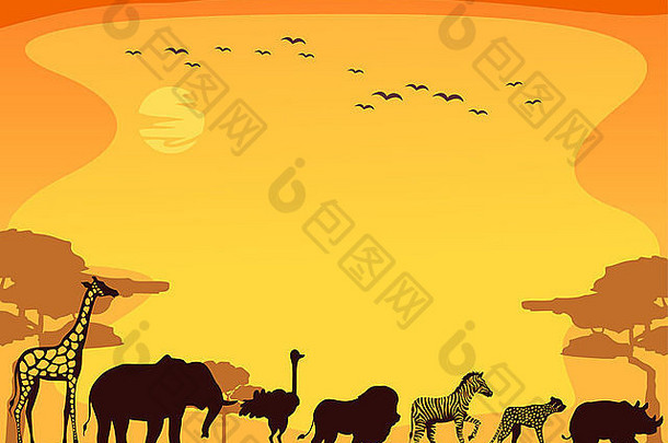 背景插图特色Safari动物走直行