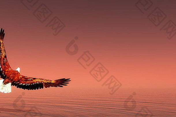 棕色背景中的老鹰在海洋上飞翔-3D渲染