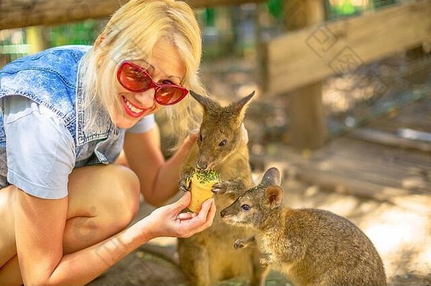 微笑高加索人女人喂养小袋鼠手户外遇到澳大利亚有袋类动物动物澳大利亚小袋鼠小中期