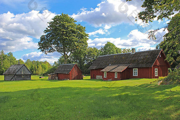 爱沙尼亚萨雷马绿野中的老式农舍