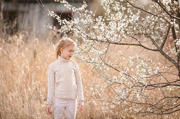 在樱花白花旁的花圃里，一个穿着白衣服的金发女孩在做梦。春天的樱桃树和温暖的阳光主题。