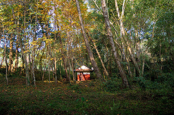 茂密森林中一座古老的不可离开的森林房屋