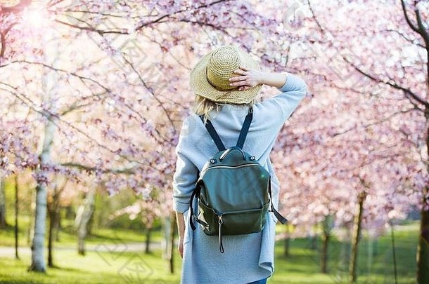 美丽的女人稻草他旅行美丽的公园樱桃树布鲁姆享受自然春天旅游背包后视图