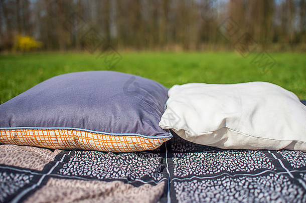 草地上带枕头的野餐毯