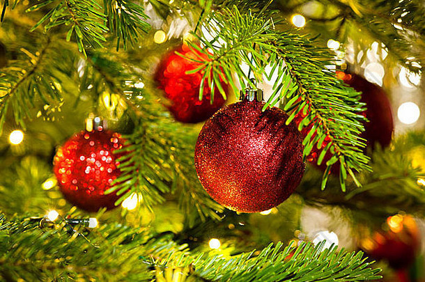 色彩鲜艳的圣诞树上的装饰品