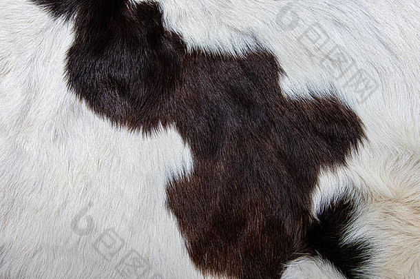 棕色牛皮被毛的纹理，带有黑色、白色和棕色斑点