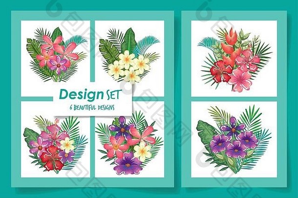 热带花卉和树叶的六种图案