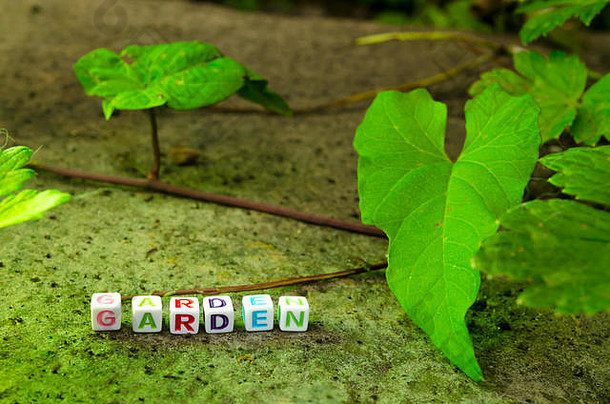 字母顺序排列珠子拼写“花园”相邻绿色他来了集石头表面