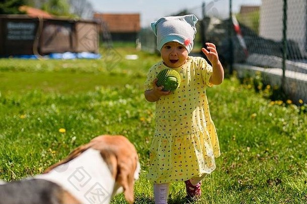 小女孩和她最好的朋友比格犬在阳光明媚的后院玩耍。