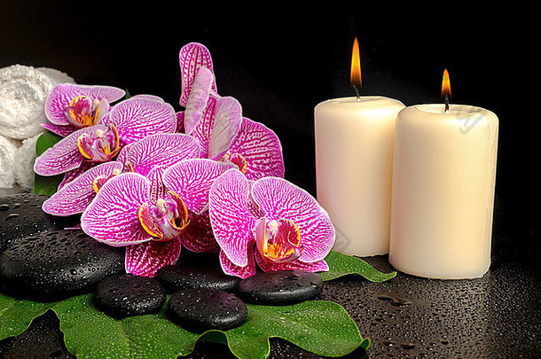 禅宗石上盛开的小枝紫罗兰（蝴蝶兰）的水疗环境，带有水滴、叶子和蜡烛，毛巾堆成一堆，特写