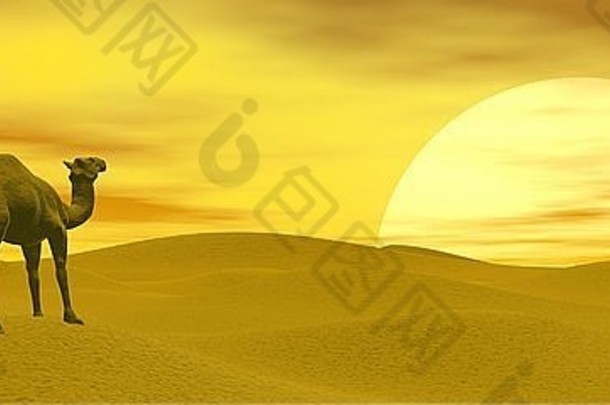 骆驼站沙漠日落渲染