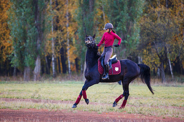 日落时分，秋天公园里骑着海湾马的年轻骑手女孩。在公园骑马的少女