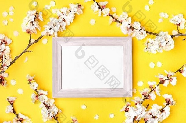 照片框架嫩枝杏树白色花黄色的背景的地方文本概念春天快乐复活节母亲的一天