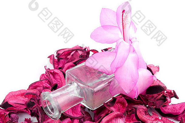 粉红色的百花香空香水瓶白色背景
