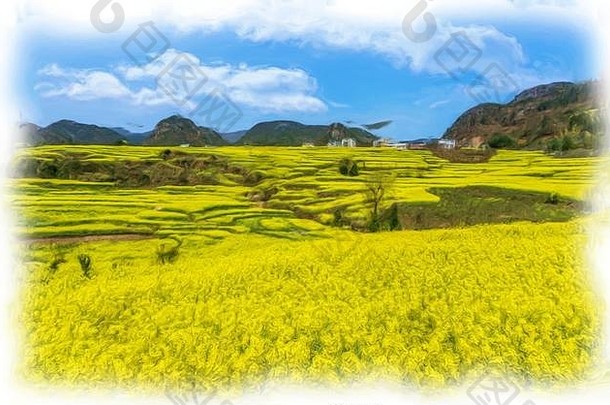 中国云南东部小县城罗平，蓝天下的油菜田和房屋的黄色花朵