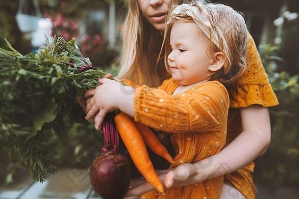 家庭妈妈。孩子女孩有机蔬菜健康的吃生活方式素食主义者食物国产胡萝卜甜菜根当地的农业杂货店购物