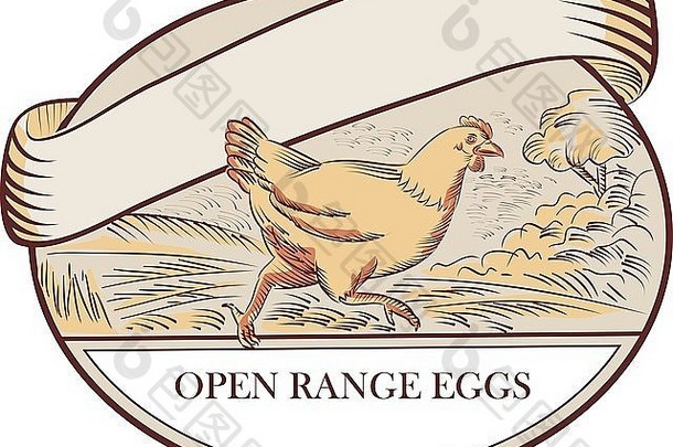 从侧面观看母鸡奔跑的草图样式插图，背景为农场树木，椭圆形内设置了开放式鸡蛋标签。