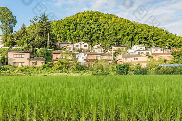 山村，日本石川县金泽山区的一个村庄。