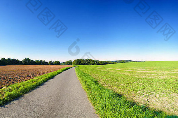 农业景观清晰的蓝色的天空全景图片国家路字段德国