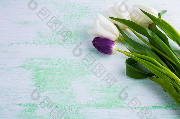 白色郁金香花背景。花架。花背景。花束。贺卡。母亲节。花。花爸