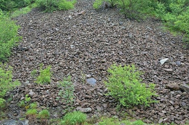 地质现象，石质滑坡为岩石河流，春雨湿润，落基山脚下有<strong>淡绿</strong>色的泉水植被