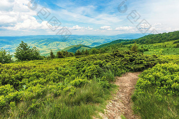在喀尔巴阡山脊的山坡上，蜿蜒的小路穿过大片的草地