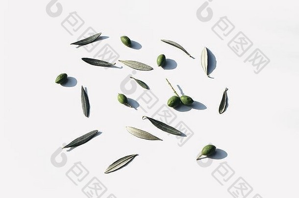 夏季植物模式。绿色橄榄果实和叶子在阳光下的花和食物成分，隔离在白色桌面背景上。地中海的